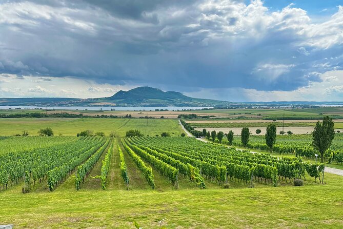 Moravian E-Bike & Wine Day Trip From Brno - Why Moravia Is Called the "Tuscany of Czechia"