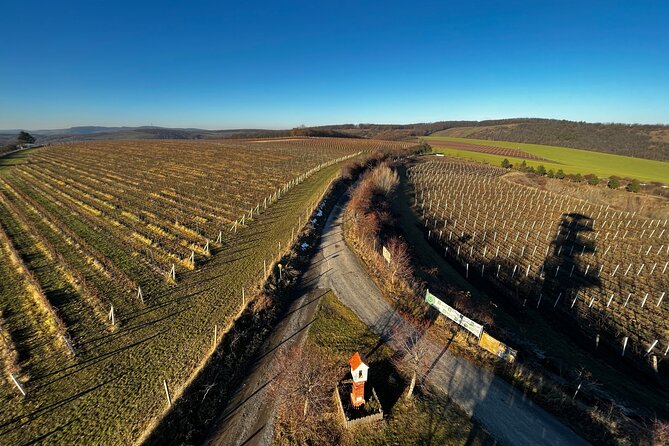 Moravian E-Bike & Wine Day Trip From Brno - The Quality and Selection of Wines Tasted