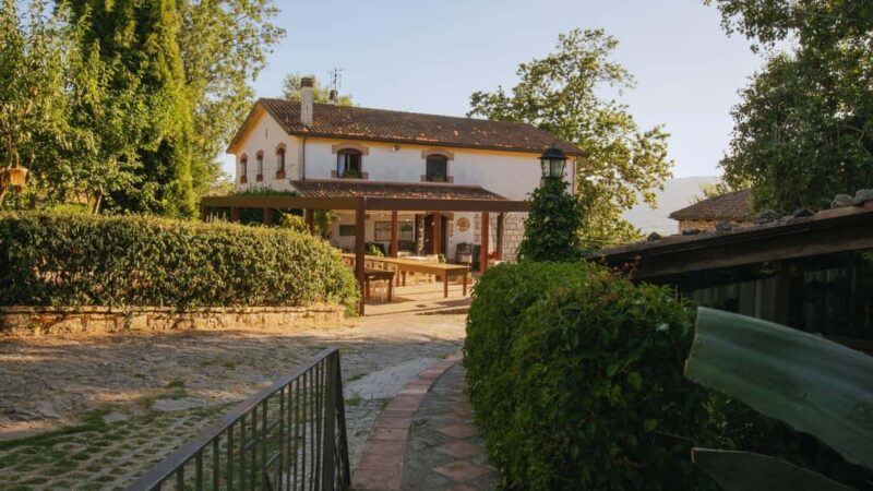 Morcone: Olive Oil Tasting and Cooking Class with Lunch - Key Points