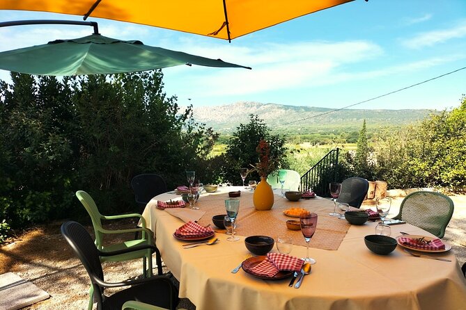 More than a wine tour : day like a local in authentic countryside - Scenic Drive Through Sainte Victoire Mountain and Vineyards