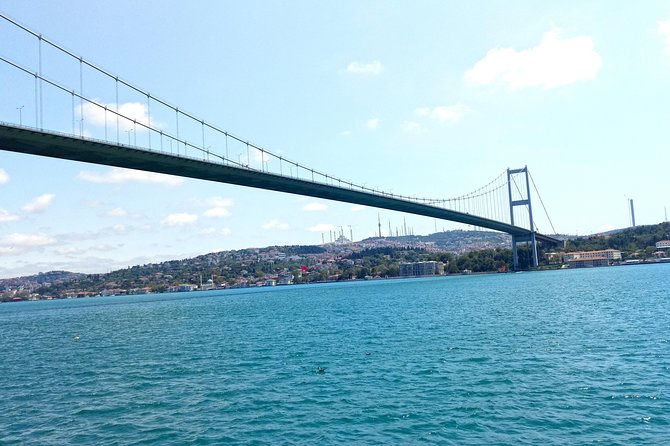 Morning Bosphorus Tour 3 Hours - The Experience on Board: Atmosphere and Service