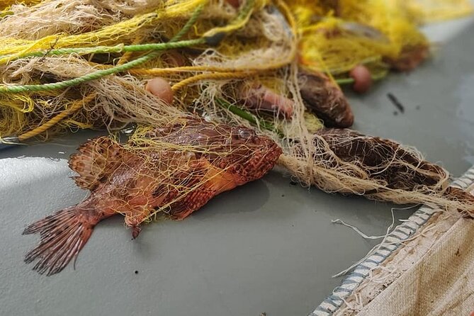 Morning Group Cruise from Milos To Polyaigos - Key Points