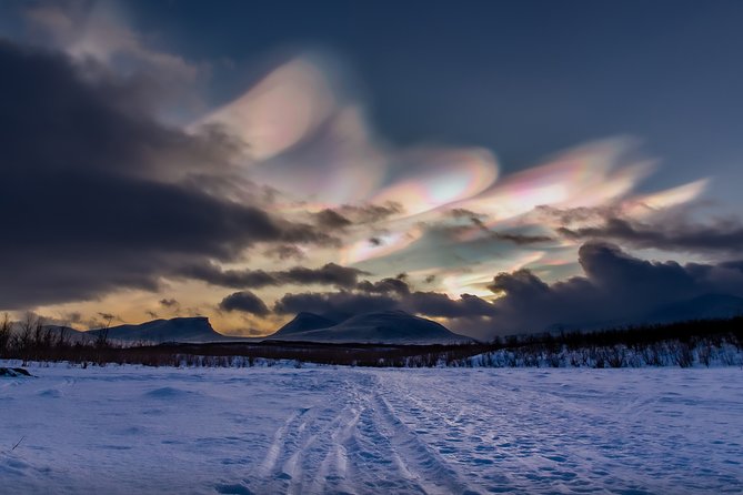Morning hike in Abisko National Park - The Scenic Trails of Abisko: Mountains, Lake Torneträsk, and Forests