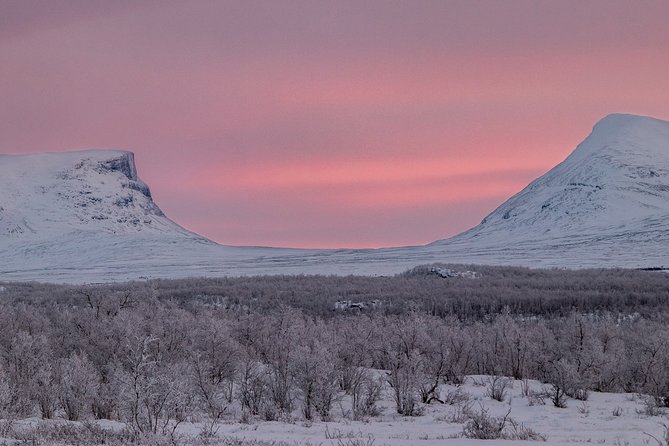 Morning hike in Abisko National Park - Guide Expertise and Guest Experience