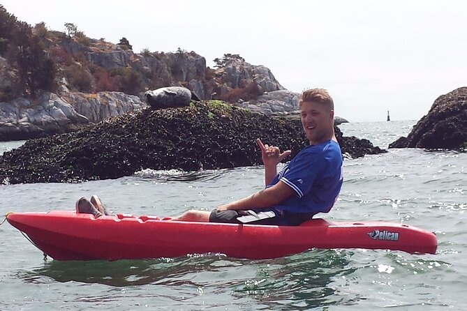 Morning Kayak & Seal Cruise - Key Points