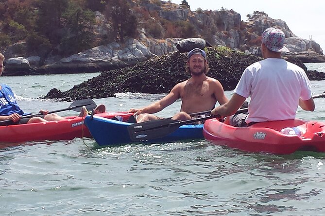 Morning Kayak & Seal Cruise - Exploring Howe Sound’s Marine Wildlife and Mountain Views