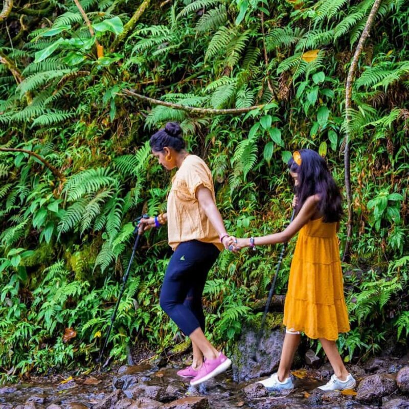 Morning or Afternoon Palehua Ridge Hike - The Route and Trail Features at Palehua Ridge