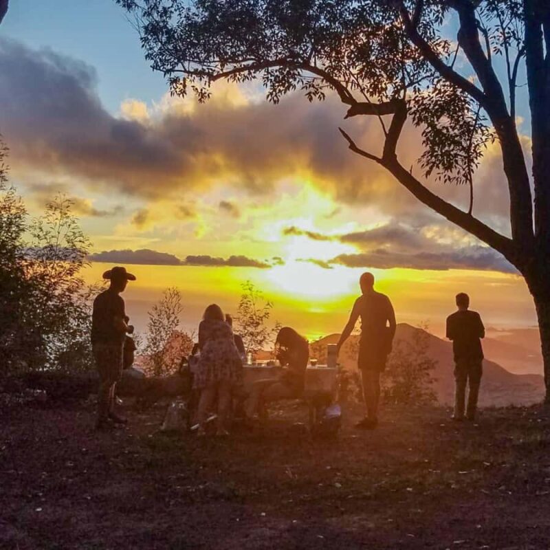 Morning or Afternoon Palehua Ridge Hike - Logistics: Transportation and Meeting Points