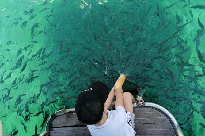 Morning panorama & swimming with a fishes - Discover Pula’s Marine Panorama with a Morning Boat Tour