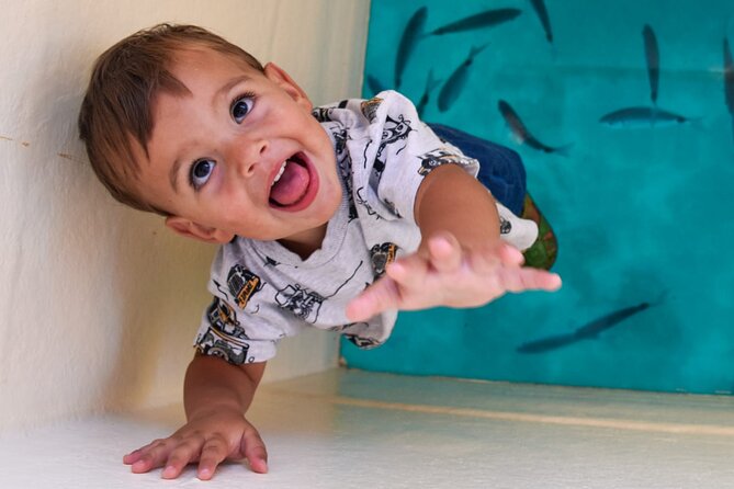 Morning panorama & swimming with a fishes - The Glass Bottom Boat: Clear Views Beneath the Surface