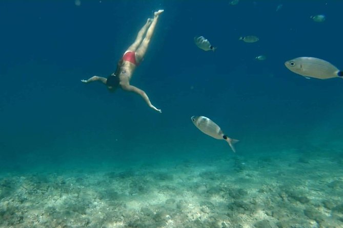 Morning panorama & swimming with a fishes - Flexibility and Cancellation Policies