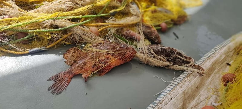 Morning Private Tour to Polyaigos - Swimming and Relaxing in Polyaigos’ Clear Waters