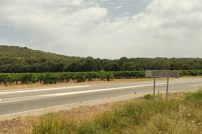 Morning Provençal Market & Food Discovery Tour - Practical Tips for Shopping and Continuing Your Food Journey