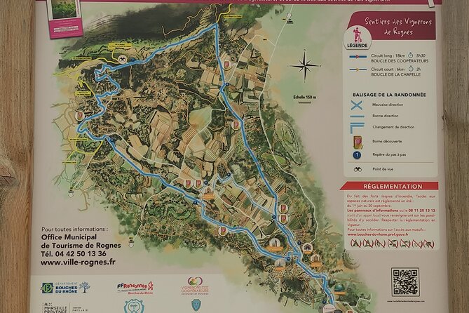 Morning Provençal Market & Food Discovery Tour - The Guide’s Style and Expertise