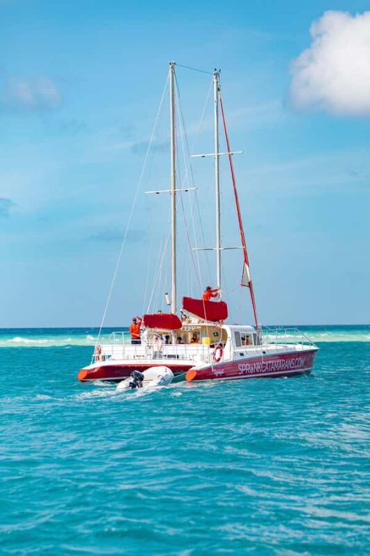 Morning Snorkeling or Sunset Sail to Boca Catalina With BBQ - Onboard Amenities: Food, Drinks, and Paddleboards