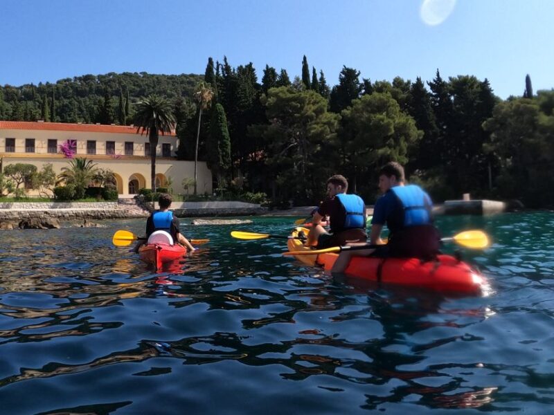 Morning Split Sea Kayaking Tour - Who Would Enjoy the Morning Sea Kayaking Tour?