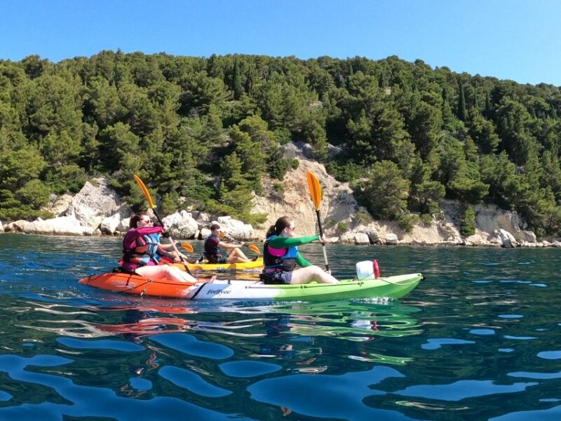 Morning Split Sea Kayaking Tour - Frequently Asked Questions