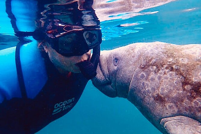 Morning Swim and Snorkel with Manatees-Guided Crystal River Tour - Practical Tips for a Smooth Tour