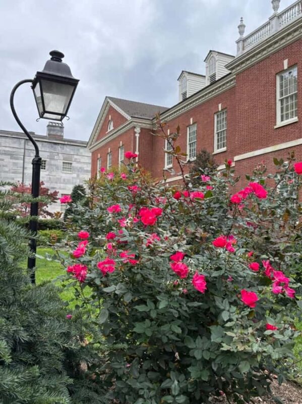 Morning Tour of Revolutionary Old City Philadelphia - Exploring Revolutionary Philadelphia with a Certified Guide