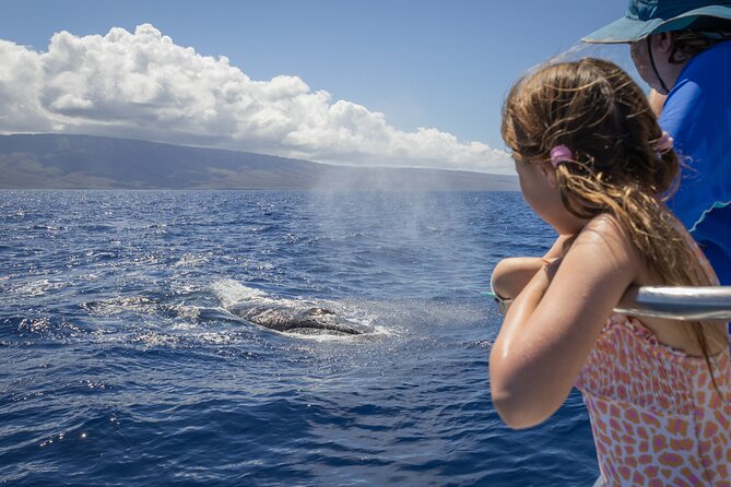 Morning Whale Watching Tour in Maui with Continental Breakfast - Key Points