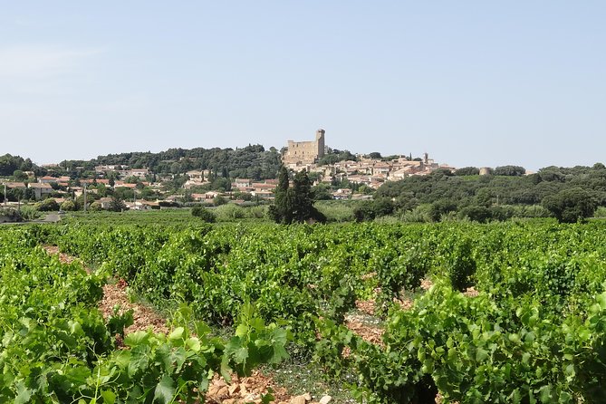 Morning Wine Tour to Chateauneuf du Pape from Avignon - Key Points