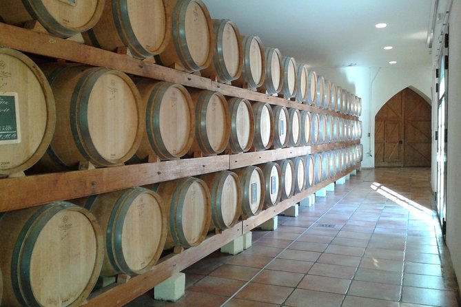 Morning Wine Tour to Chateauneuf du Pape from Avignon - Strolling the Vineyards and Historic Sites