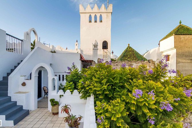 Morocco: Tangier Private Tour from Malaga & Tarifa. All Inclusive - Cultural Stops: Sultans Palace Museum and the Medina