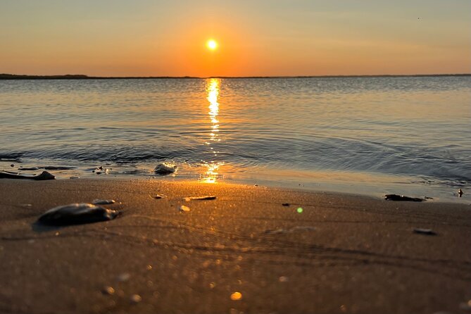 Morris Island Dolphin Cruise and Shelling Trip - Wildlife Encounters on the Return Trip