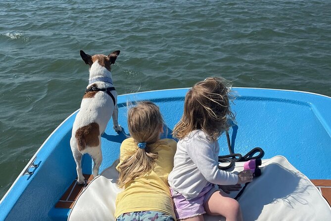 Morris Island Dolphin Cruise and Shelling Trip - Why Choose the Morris Island Dolphin Cruise and Shelling Trip?