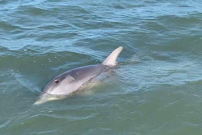 Morris Island Private Excursion - Physical Requirements and Accessibility