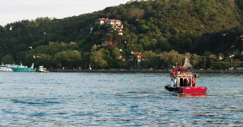 Morro Bay: Pontoon Boat Rental with Wildlife Watching - What to Bring and What Not to Bring
