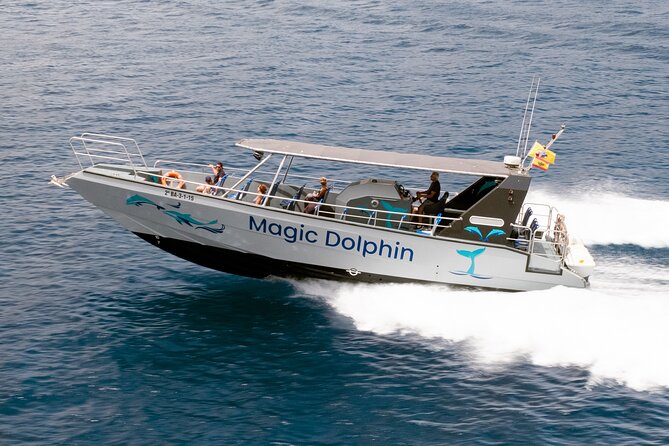 Morro Jable: 2 Hours Magic Dolphin & Whale watching with Drinks & Swim Stop. - What You Experience During the 2-Hour Trip