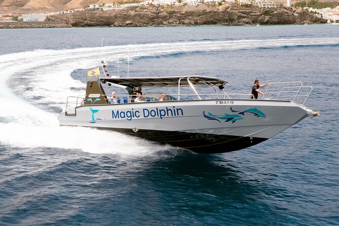 Morro Jable: 2 Hours Magic Dolphin & Whale watching with Drinks & Swim Stop. - Group Size and Accessibility