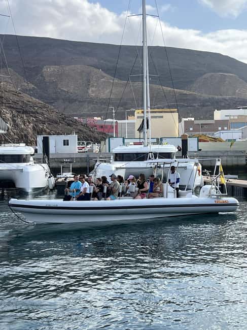 Morro Jable:Dolphin & Whale Watching Boat Tour & Snorkeling - Key Points