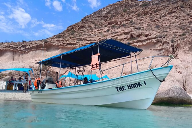 MOST POPULAR TOUR IN LA PAZ! Swim with Sea Lions Private Boat - Scenic Route and Marine Sightings on Return
