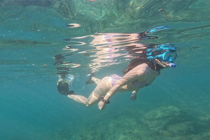 MOST POPULAR TOUR IN LA PAZ! Swim with Sea Lions Private Boat - Honest Overview of the Experience