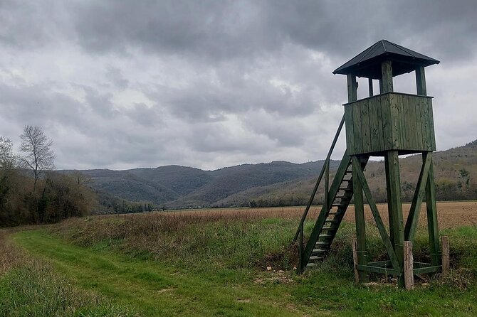 Motovun Area Hiking Tour with a Historian - Visiting the Vineyards and Sampling Istrian Teran