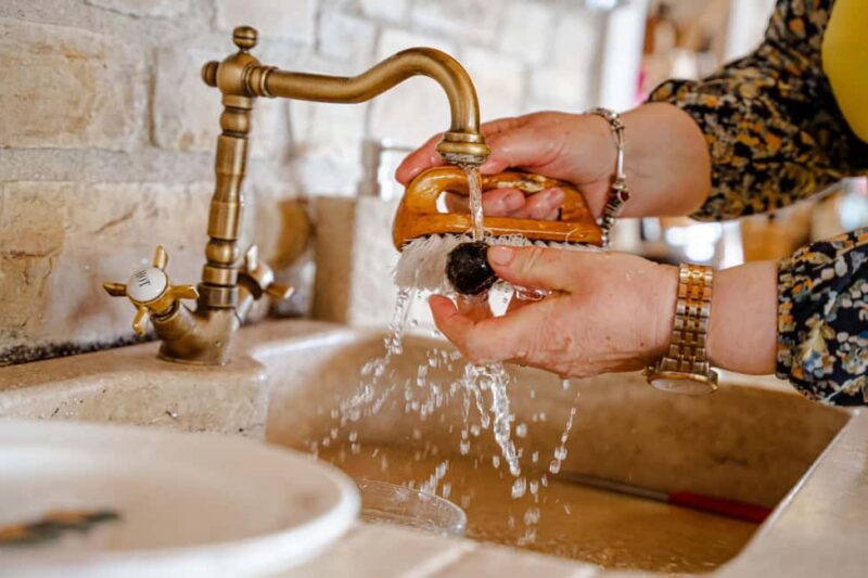 Motovun: Truffle Hunt & 3-Course Brunch with Locals - What Makes This Tour Stand Out