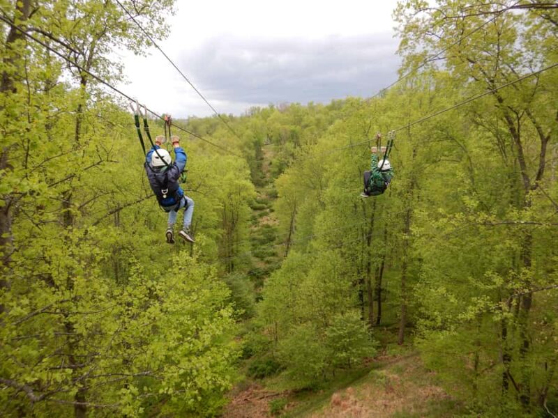 Moundsville: Wild Zipline Tour (4 Ziplines & Skybridge) - The Forest Hike and Skybridge Crossing