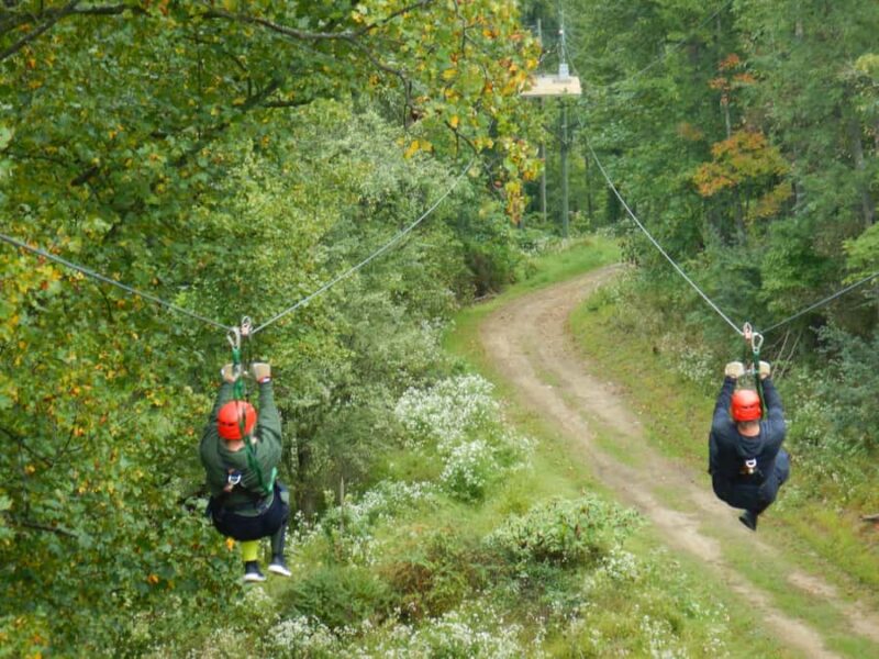 Moundsville: Wonderful Zipline Tour (4 Zips & 2 Skybridge) - Timing and Pacing of the Tour