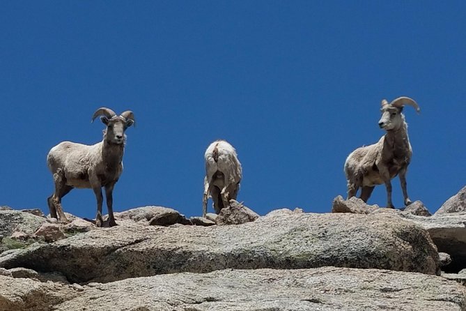 Mount Blue Sky 14,265ft Summit and Glacial Lakes - Starting from Denver’s Union Station with Expert Guides