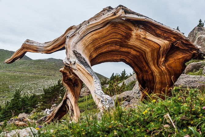 Mount Blue Sky Alpine Summit & Red Rocks Tour from Denver - Summit Lake at Nearly 13,000 Feet