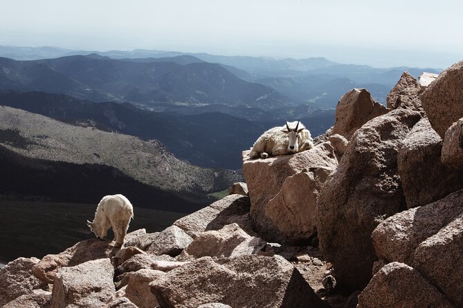 Mount Blue Sky Alpine Summit & Red Rocks Tour from Denver - Logistics: Meeting Point and Transportation
