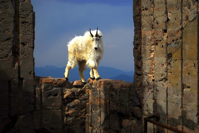 Mount Blue Sky, Clear Creek Canyon & Red Rocks Park (Mount Evans) - Explore Denver’s Surroundings on a Scenic Day Trip to Mount Blue Sky and Red Rocks