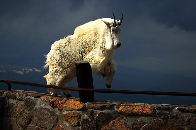 Mount Blue Sky, Clear Creek Canyon & Red Rocks Park (Mount Evans) - High-Altitude Adventure at Mount Blue Sky