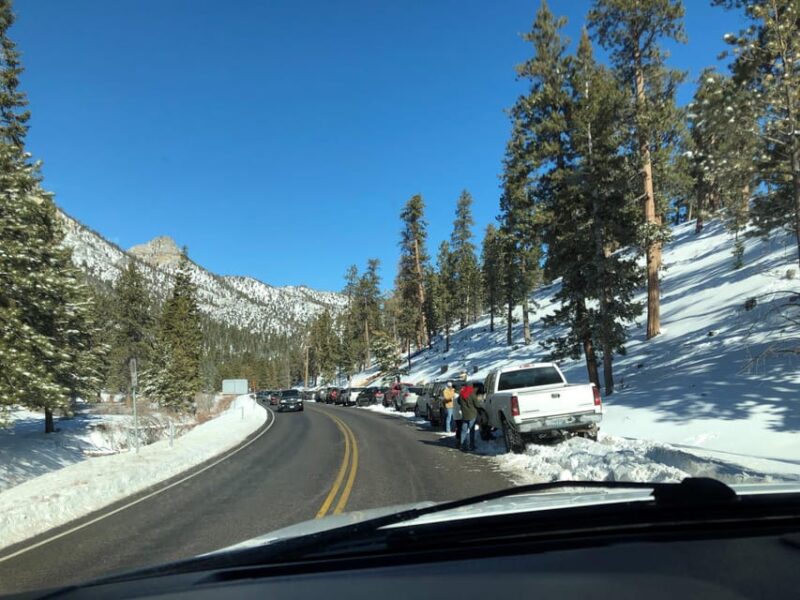 Mount Charleston Driving Adventure: Escape to Nature - Highlights at Scenic Photo Stops and Overlooks