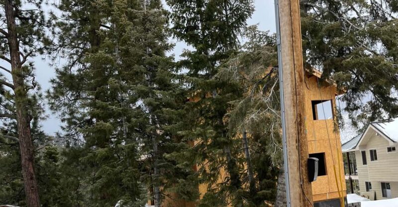 Mount Charleston Driving Adventure: Escape to Nature - Exploring Mount Charleston’s Natural Beauty