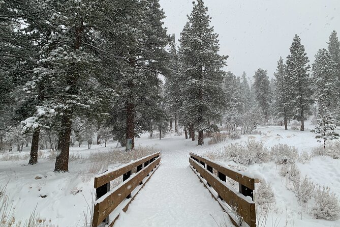 Mount Charleston Tour - Scenic Opportunities and Photography