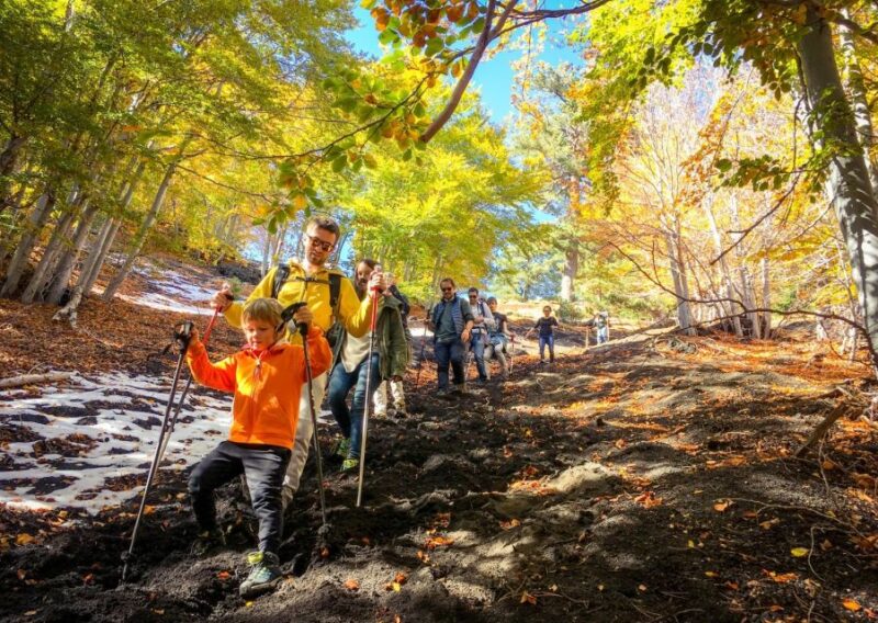 Mount Etna: Craters of the 2002 Eruption Trekking Experience - Physical Requirements and What to Bring