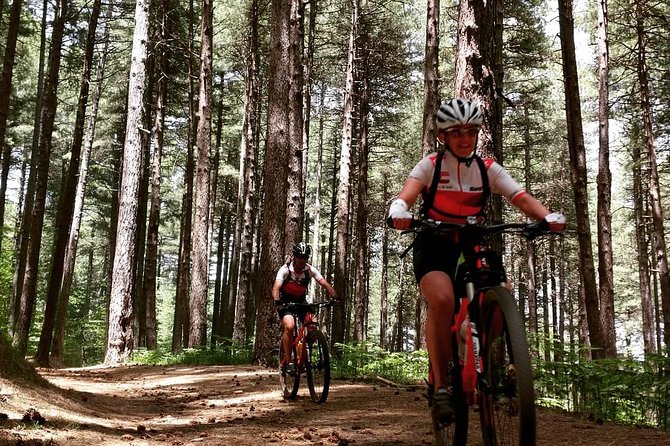 Mount Etna E-bike half-day tour - Climbing to Rifugio Citelli at 1,700 Meters